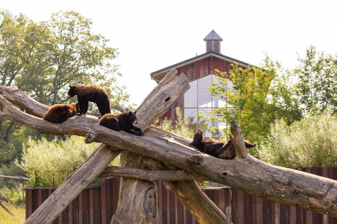 Parc Animalier De Sainte-Croix Hotel Rhodes Kültér fotó